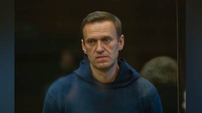 Татьяна Москалькова - Навальный - Навальный заявил о выходе из голодовки из-за ухудшения здоровья - politros.com - Владимирская обл.