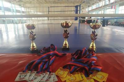 Студенты ДонНАСА стали чемпионами по боксу среди вузов ДНР - mk.ru - ДНР - Донецк