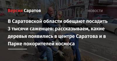Юрий Гагарин - В Саратовской области обещают посадить 3 тысячи саженцев: рассказываем, какие деревья появились в центре Саратова и в Парке покорителей космоса - nversia.ru - Саратовская обл. - Саратов - Экология