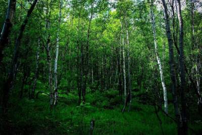 Андрей Чибис - В Заполярье стартовал флешбом #насеверечисто - murmansk.mk.ru - Мурманская обл. - Мончегорск