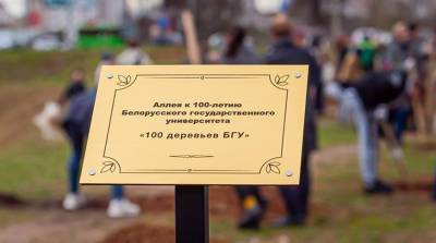 Аллею деревьев к 100-летию БГУ высадили в Минске - belta.by - Экология
