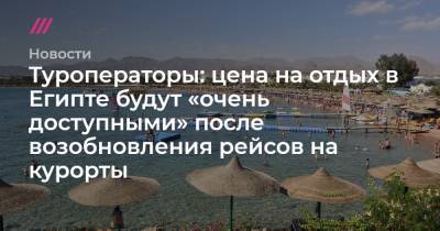 Туроператоры: цена на отдых в Египте будут «очень доступными» после возобновления рейсов на курорты - tvrain.ru - Египет