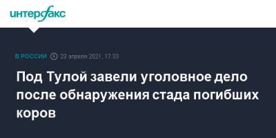 Под Тулой завели уголовное дело после обнаружения стада погибших коров - interfax.ru - Москва - Тула - Тульская обл.