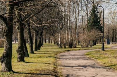 Александр Матросов - После просушки в Петербурге открываются еще пять парков и садов - abnews.ru - Санкт-Петербург