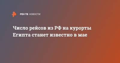 Владимир Путин - Дмитрий Песков - Число рейсов из РФ на курорты Египта станет известно в мае - ren.tv - Россия - Египет
