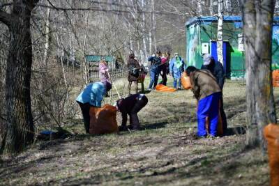 По пандемии – граблями: завтра в Ярославской области пройдет Всероссийский субботник - yar.mk.ru - Ярославская обл. - Ярославль - район Дзержинский