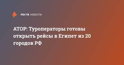 Владимир Путин - АТОР: Туроператоры готовы открыть рейсы в Египет из 20 городов РФ - ren.tv - Россия - Египет