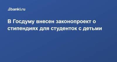 Светлана Бессараб - В Госдуму внесен законопроект о стипендиях для студенток с детьми - smartmoney.one