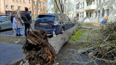 Желтый уровень опасности: в Москве разбушевалась погода - vesti.ru - Москва