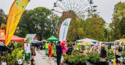 Традиционный Парад саженцев в Сигулде перенесен на 5-6 июня этого года - skuke.net