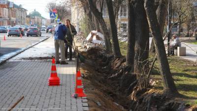 Подрядчик повредил корни деревьев при ремонте ограды Верхнего городского сада - 7info.ru - Рязань