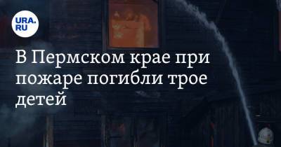 В Пермском крае при пожаре погибли трое детей - ura.news - Пермский край