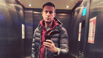 Навальный - Меркури: "Голодовка" Навального объявлена, чтобы перебить повестку 21 апреля - newinform.com - Владимирская обл.