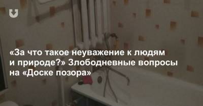 «За что такое неуважение к людям и природе?» Злободневные вопросы на «Доске позора» - news.tut.by - Минск - Благоустройство