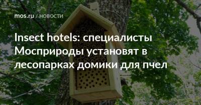 Insect hotels: специалисты Мосприроды установят в лесопарках домики для пчел - mos.ru - Москва