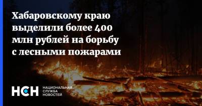 Михаил Мишустин - Михаил Дегтярев - Хабаровскому краю выделили более 400 млн рублей на борьбу с лесными пожарами - nsn.fm - Хабаровский край