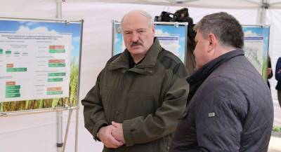 Александр Лукашенко - Александр Лукашенко о развитии чернобыльских территорий: надо четко понимать, где будут жить люди - grodnonews.by - район Наровлянский