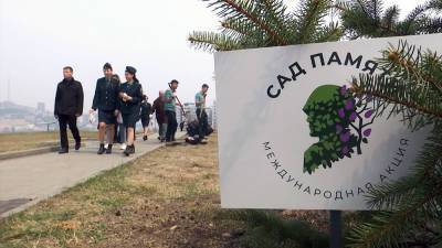 В России появятся миллионы деревьев в память о ветеранах войны - tvc.ru - Владивосток