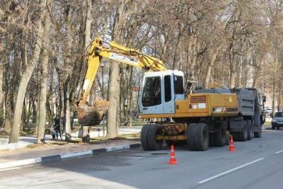 Подрядчик Верхнего горпарка в Рязани повредил корни деревьев и кустарников - rzn.mk.ru - Рязань