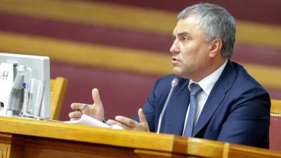 Вячеслав Володин - Володин предложил западным журналистам заняться правами собственных граждан - nation-news.ru