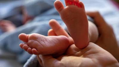 Пенсионерка обнаружила тело новорожденной внучки в Колпино - piter.tv - Красноярский край