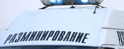 Анна Терешкова - Сотрудница администрации Новосибирска нашла гранату Ф-1 во время субботника - runews24.ru - Новосибирск