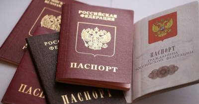 Госсдума планирует выдать жителям Донбасса 500 тыс. паспортов РФ - readovka.ru - Донбасс