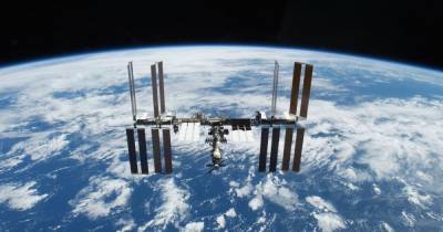 Илон Маск - Crew Dragon - Корабль Crew Dragon 2 с четырьмя астронавтами успешно состыковался с МКС - tsn.ua