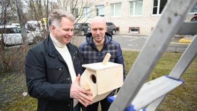 В Купчино проходит общегородской субботник - piter.tv - Санкт-Петербург - Петербург