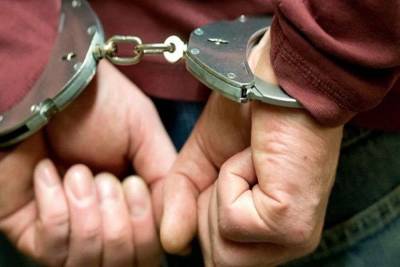 В Ульяновске полицейские задержали подозреваемого в причинении тяжких телесных повреждений - ulpravda.ru - Ульяновск