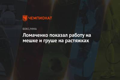 Василий Ломаченко - Ломаченко показал работу на мешке и груше на растяжках - championat.com