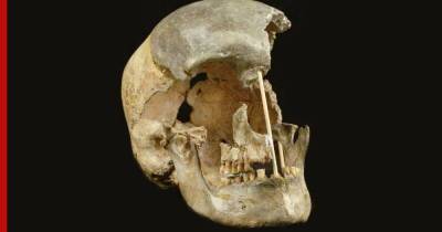 Исследование: Homo sapiens избежали исчезновения благодаря "творческим" генам - profile.ru - Испания