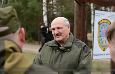 Александр Лукашенко - Лукашенко сообщил, что на его ликвидацию было выделено 10 млн долларов - sharij.net - район Наровлянский