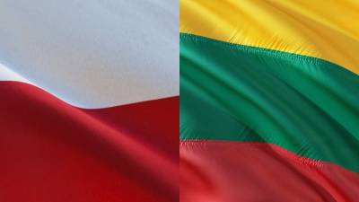 Названы причины вероятного краха польско-литовского газопровода GIPL - inforeactor.ru - Литва - Вильнюс - Варшава