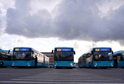 Петербург получит почти три тысячи новых автобусов перед стартом транспортной реформы - online47.ru - Ленинградская обл. - Санкт-Петербург