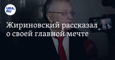 Владимир Жириновский - Геннадий Зюганов - Иван Ургант - Жириновский рассказал о своей главной мечте - ura.news