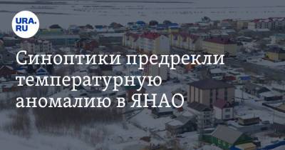 Роман Вильфанд - Синоптики предрекли температурную аномалию в ЯНАО - ura.news - Краснодарский край - Чукотка - Салехард - окр. Янао