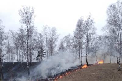 В Бурятии лес загорелся из-за пала травы - ulan.mk.ru - респ.Бурятия - район Прибайкальский