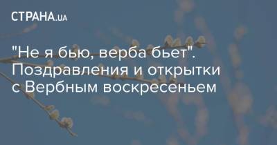 "Не я бью, верба бьет". Поздравления и открытки с Вербным воскресеньем - strana.ua - Иерусалим
