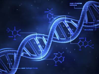 Джеймс Уотсон - Фрэнсис Крик - Этот день в истории: открытие молекулярной структуры ДНК - odessa-life.od.ua