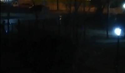 Тюменцы сомневаются в качестве противоклещевой обработки - nashgorod.ru - Тюмень