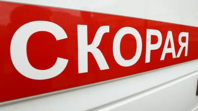 Один человек погиб, девять пострадали в ДТП с грузовиком под Тулой - iz.ru - Москва - Тула - Тульская обл.