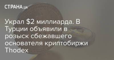 Украл $2 миллиарда. В Турции объявили в розыск сбежавшего основателя криптобиржи Thodex - strana.ua - Турция - Албания