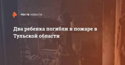 Два ребенка погибли в пожаре в Тульской области - ren.tv - Тульская обл. - Кимовск