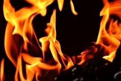 На пожаре в Спасском районе ожоги получили мужчина и женщина - rzn.mk.ru - Рязань - район Спасский