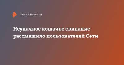 Неудачное кошачье свидание рассмешило пользователей Сети - ren.tv