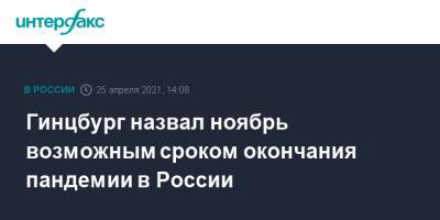 Татьяна Голикова - Анна Попова - Михаил Мурашко - Павел Зарубин - Александр Гинцбург - Гинцбург назвал ноябрь возможным сроком окончания пандемии в России - interfax.ru - Москва