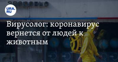 Владислав Жемчугов - Сергей Нетесов - Вирусолог: коронавирус вернется от людей к животным. Условие - ura.news