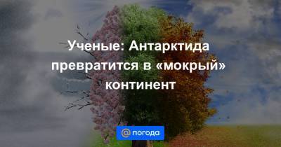 Ученые: Антарктида превратится в «мокрый» континент - news.mail.ru - Антарктида
