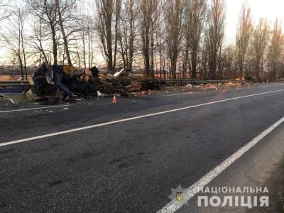 В Винницкой области грузовик попали в жуткое ДТП: есть погибшие – фото, видео 18+ - 24tv.ua - Винницкая обл.